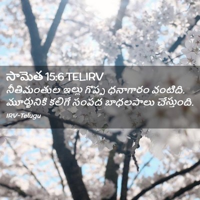 Picture 02 - సామెత 15:6 TELIRV - నీతిమంతుల ఇల్లు - Bible Verse Picture