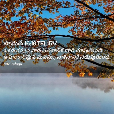 Picture 02 - సామెత 16:18 TELIRV - ఒకడి గర్వం వాడి - Bible Verse Picture