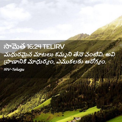 Picture 02 - సామెత 16:24 TELIRV - మధురమైన మాటలు - Bible Verse Picture