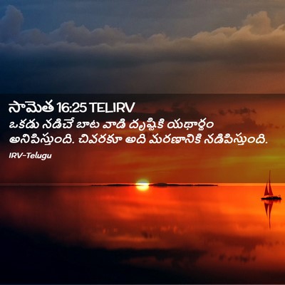 Picture 02 - సామెత 16:25 TELIRV - ఒకడు నడిచే బాట - Bible Verse Picture