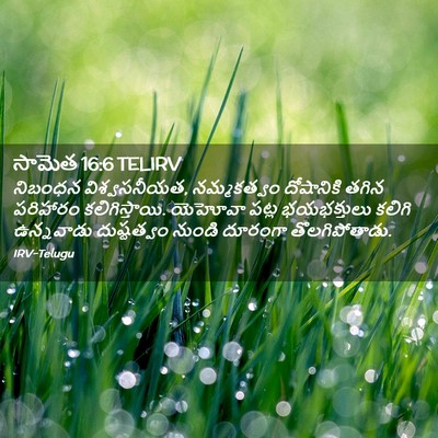 Picture 02 - సామెత 16:6 TELIRV - నిబంధన - Bible Verse Picture