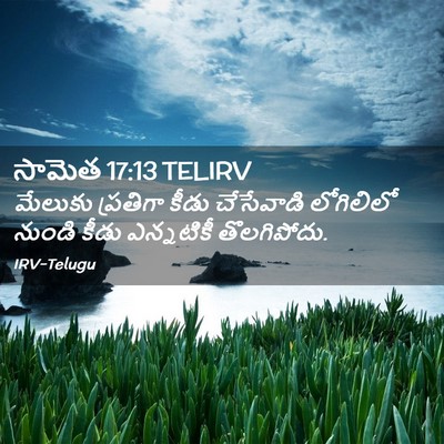 Picture 02 - సామెత 17:13 TELIRV - మేలుకు ప్రతిగా - Bible Verse Picture