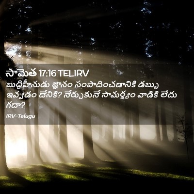 Picture 02 - సామెత 17:16 TELIRV - బుద్ధిహీనుడు - Bible Verse Picture