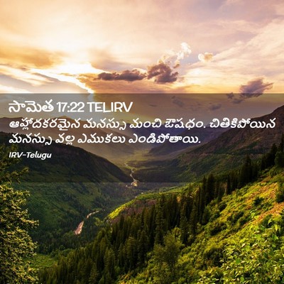 Picture 02 - సామెత 17:22 TELIRV - ఆహ్లాదకరమైన - Bible Verse Picture