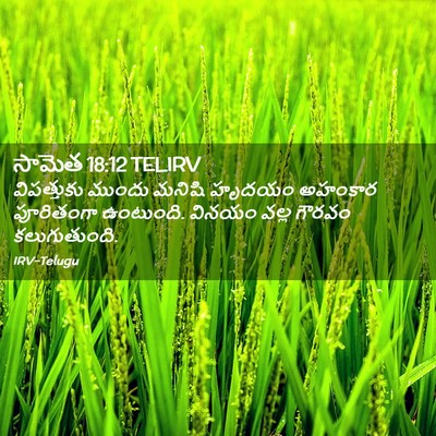 Picture 02 - సామెత 18:12 TELIRV - విపత్తుకు ముందు - Bible Verse Picture