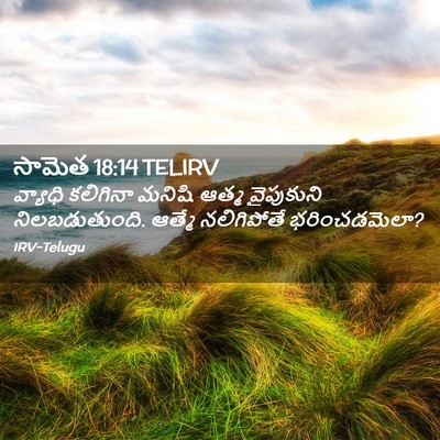 Picture 02 - సామెత 18:14 TELIRV - వ్యాధి కలిగినా - Bible Verse Picture