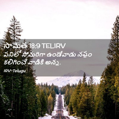 Picture 02 - సామెత 18:9 TELIRV - పనిలో సోమరిగా - Bible Verse Picture