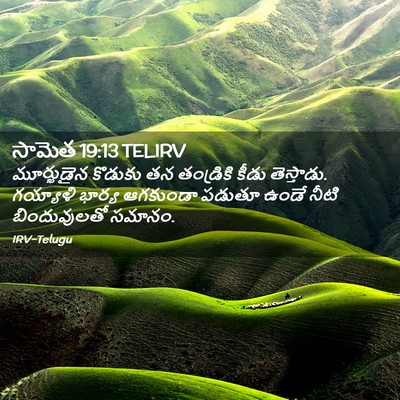 Picture 02 - సామెత 19:13 TELIRV - మూర్ఖుడైన కొడుకు - Bible Verse Picture