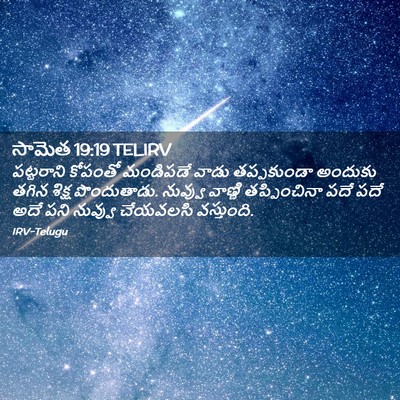 Picture 02 - సామెత 19:19 TELIRV - పట్టరాని కోపంతో - Bible Verse Picture