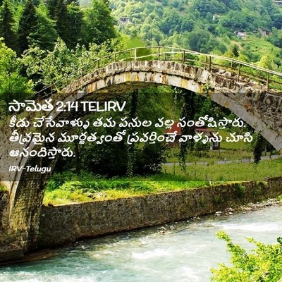 Picture 02 - సామెత 2:14 TELIRV - కీడు చేసేవాళ్ళు - Bible Verse Picture