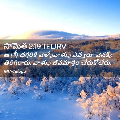Picture 02 - సామెత 2:19 TELIRV - ఆ స్త్రీ దగ్గరికి - Bible Verse Picture