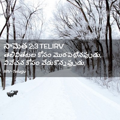 Picture 02 - సామెత 2:3 TELIRV - తెలివితేటల కోసం - Bible Verse Picture