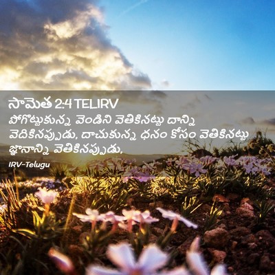 Picture 02 - సామెత 2:4 TELIRV - పోగొట్టుకున్న - Bible Verse Picture