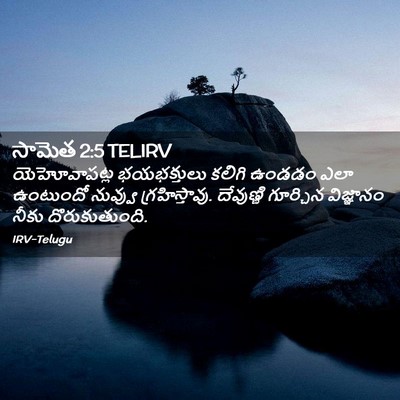 Picture 02 - సామెత 2:5 TELIRV - యెహోవాపట్ల - Bible Verse Picture