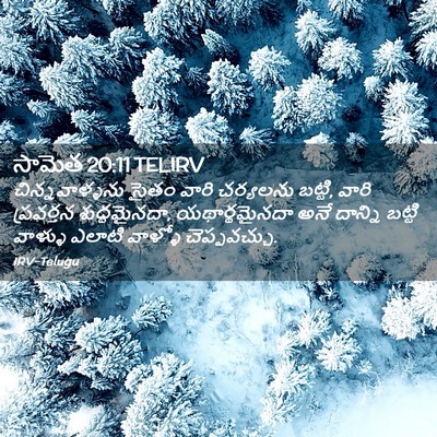 Picture 02 - సామెత 20:11 TELIRV - చిన్నవాళ్ళను సైతం - Bible Verse Picture