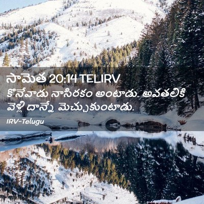 Picture 02 - సామెత 20:14 TELIRV - కొనేవాడు నాసిరకం - Bible Verse Picture