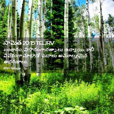 Picture 02 - సామెత 20:15 TELIRV - బంగారం, - Bible Verse Picture