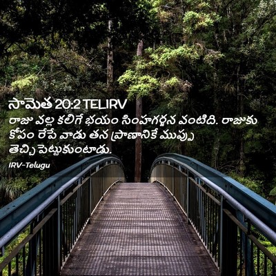 Picture 02 - సామెత 20:2 TELIRV - రాజు వల్ల కలిగే - Bible Verse Picture