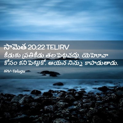 Picture 02 - సామెత 20:22 TELIRV - కీడుకు ప్రతికీడు - Bible Verse Picture