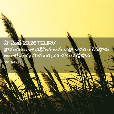 Picture 02 - సామెత 20:26 TELIRV - జ్ఞానంగల రాజు - Bible Verse Picture