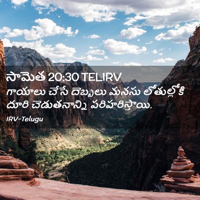 Picture 02 - సామెత 20:30 TELIRV - గాయాలు చేసే - Bible Verse Picture