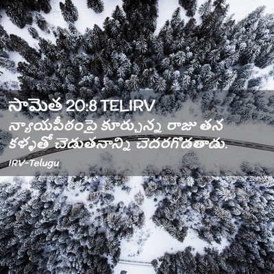 Picture 02 - సామెత 20:8 TELIRV - న్యాయపీఠంపై - Bible Verse Picture