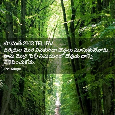 Picture 02 - సామెత 21:13 TELIRV - దరిద్రుల మొర - Bible Verse Picture