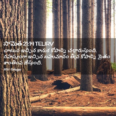 Picture 02 - సామెత 21:14 TELIRV - చాటున ఇచ్చిన - Bible Verse Picture