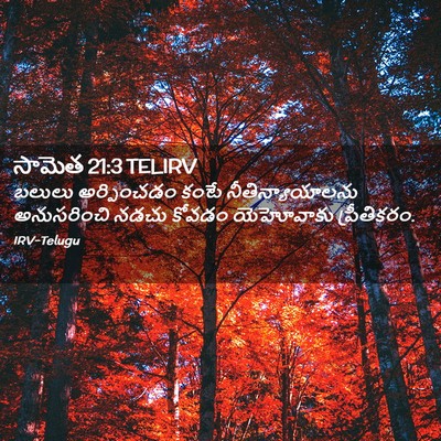 Picture 02 - సామెత 21:3 TELIRV - బలులు అర్పించడం - Bible Verse Picture