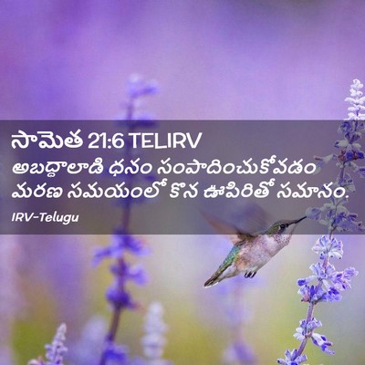 Picture 02 - సామెత 21:6 TELIRV - అబద్ధాలాడి ధనం - Bible Verse Picture