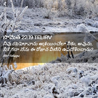 Picture 02 - సామెత 22:19 TELIRV - నీవు యెహోవాను - Bible Verse Picture