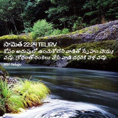 Picture 02 - సామెత 22:24 TELIRV - కోపం అదుపులో - Bible Verse Picture