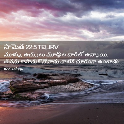 Picture 02 - సామెత 22:5 TELIRV - ముళ్ళు, ఉచ్చులు - Bible Verse Picture