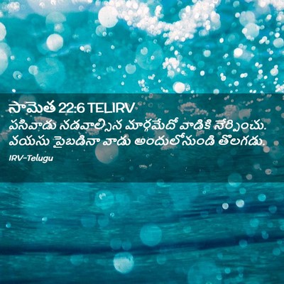 Picture 02 - సామెత 22:6 TELIRV - పసివాడు నడవాల్సిన - Bible Verse Picture