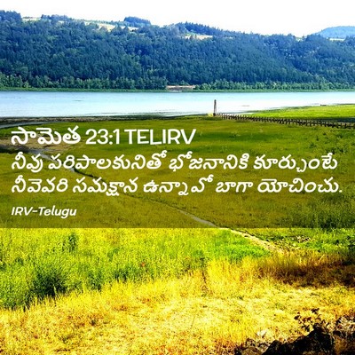 Picture 02 - సామెత 23:1 TELIRV - నీవు పరిపాలకునితో - Bible Verse Picture