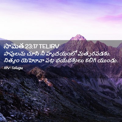 Picture 02 - సామెత 23:17 TELIRV - పాపులను చూసి నీ - Bible Verse Picture