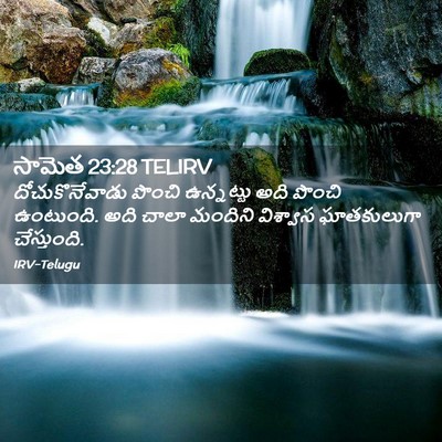 Picture 02 - సామెత 23:28 TELIRV - దోచుకొనేవాడు - Bible Verse Picture