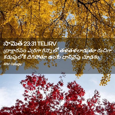 Picture 02 - సామెత 23:31 TELIRV - ద్రాక్షారసం - Bible Verse Picture