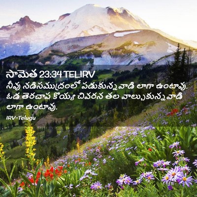 Picture 02 - సామెత 23:34 TELIRV - నీవు నడిసముద్రంలో - Bible Verse Picture