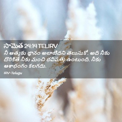 Picture 02 - సామెత 24:14 TELIRV - నీ ఆత్మకు జ్ఞానం - Bible Verse Picture