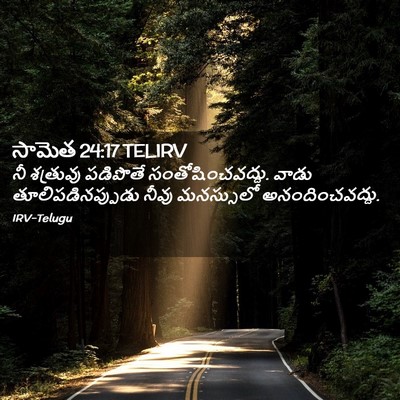 Picture 02 - సామెత 24:17 TELIRV - నీ శత్రువు - Bible Verse Picture
