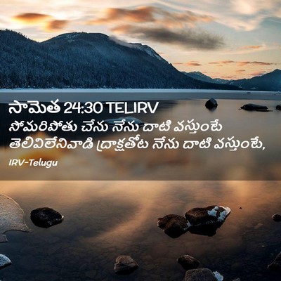 Picture 02 - సామెత 24:30 TELIRV - సోమరిపోతు చేను - Bible Verse Picture