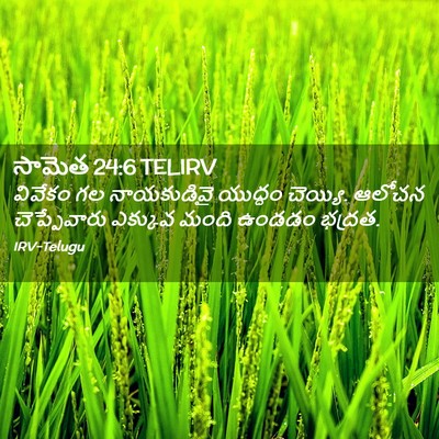 Picture 02 - సామెత 24:6 TELIRV - వివేకం గల - Bible Verse Picture