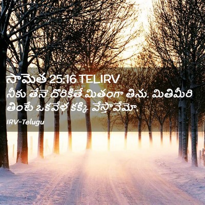 Picture 02 - సామెత 25:16 TELIRV - నీకు తేనె - Bible Verse Picture