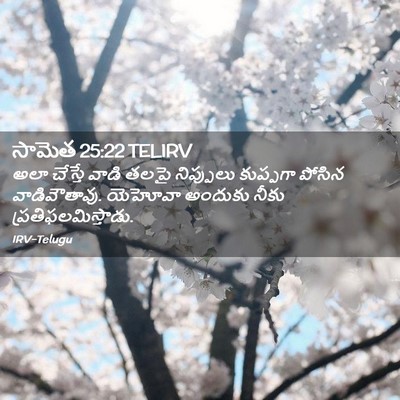 Picture 02 - సామెత 25:22 TELIRV - అలా చేస్తే వాడి - Bible Verse Picture