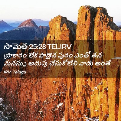 Picture 02 - సామెత 25:28 TELIRV - ప్రాకారం లేక - Bible Verse Picture