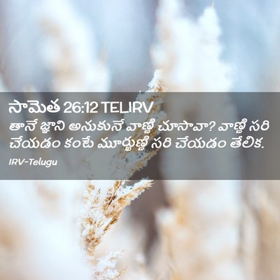 Picture 02 - సామెత 26:12 TELIRV - తానే జ్ఞాని - Bible Verse Picture