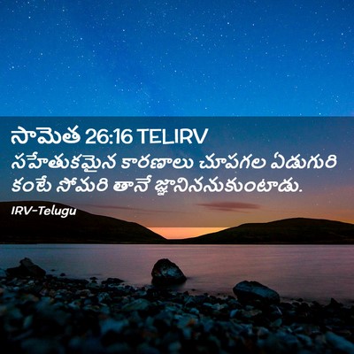 Picture 02 - సామెత 26:16 TELIRV - సహేతుకమైన కారణాలు - Bible Verse Picture