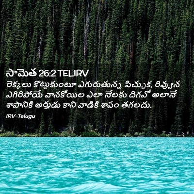 Picture 02 - సామెత 26:2 TELIRV - రెక్కలు - Bible Verse Picture