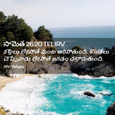 Picture 02 - సామెత 26:20 TELIRV - కట్టెలు లేకపోతే - Bible Verse Picture
